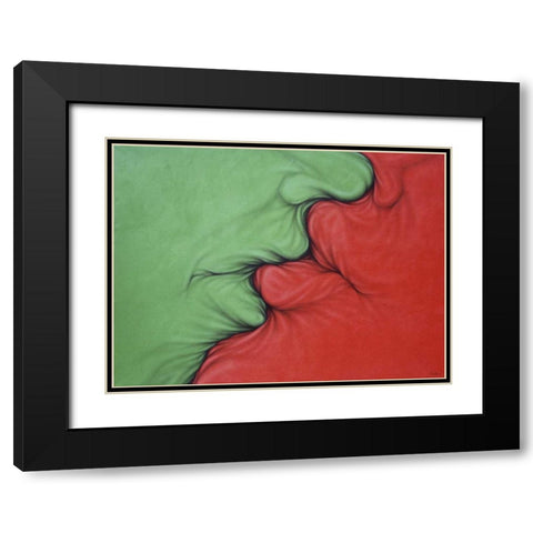 Complementarios Black Modern Wood Framed Art Print with Double Matting by Bertani, Ernesto