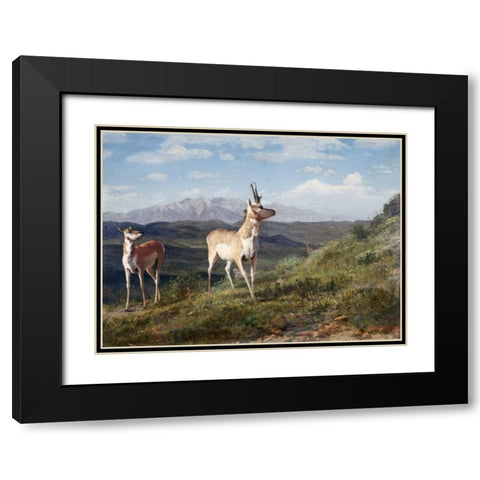 Antelope Black Modern Wood Framed Art Print with Double Matting by Bierstadt, Albert