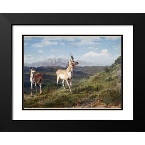 Antelope Black Modern Wood Framed Art Print with Double Matting by Bierstadt, Albert