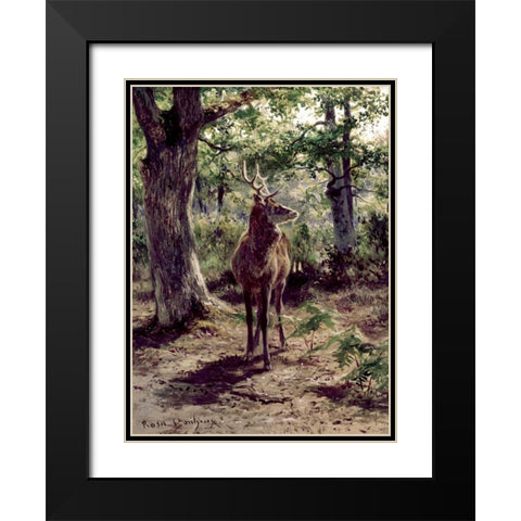 Stag On Alert, In Wooded Clearing Black Modern Wood Framed Art Print with Double Matting by Bonheur, Rosa