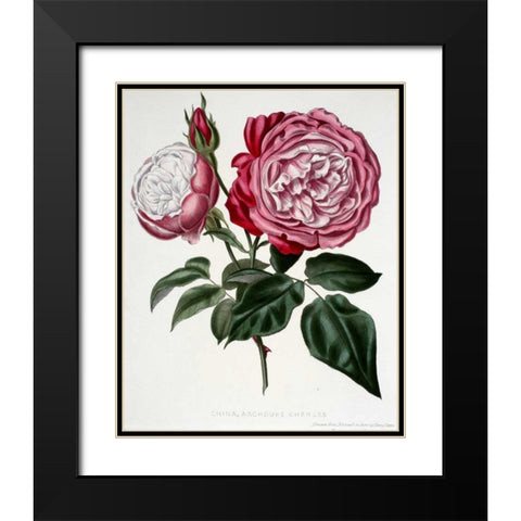 China, Archduke Charles Black Modern Wood Framed Art Print with Double Matting by Curtis, Henry