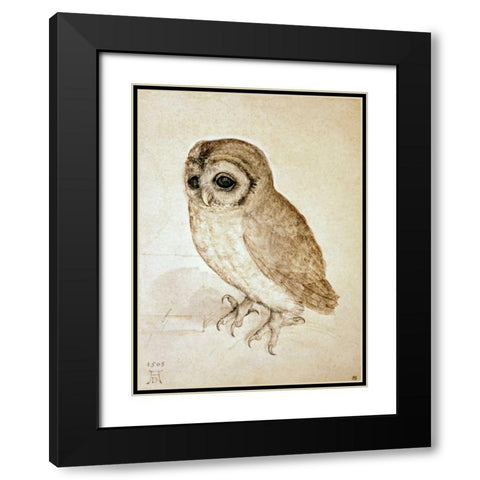 Screech Owl Black Modern Wood Framed Art Print with Double Matting by Durer, Albrecht