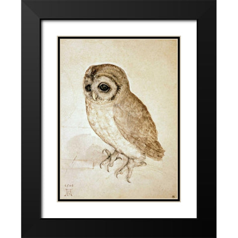 Screech Owl Black Modern Wood Framed Art Print with Double Matting by Durer, Albrecht