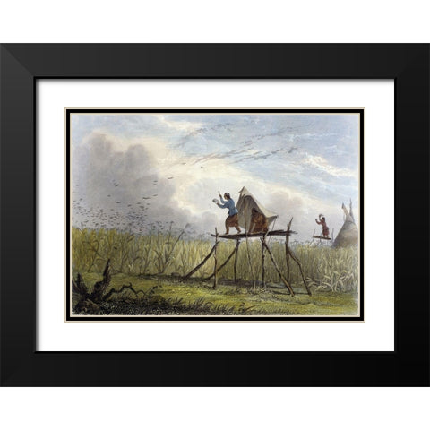 Guarding The Corn Fields Black Modern Wood Framed Art Print with Double Matting by Eastman, Mary
