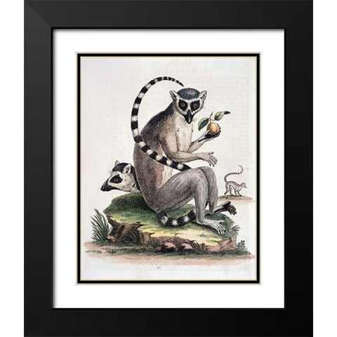 Le Maucuaco Black Modern Wood Framed Art Print with Double Matting by Edwards, George