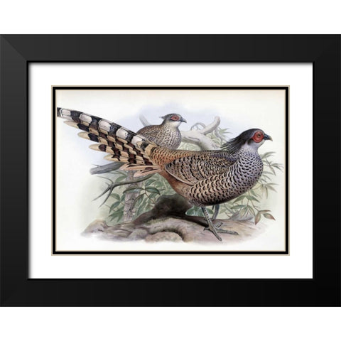 Cheer Black Modern Wood Framed Art Print with Double Matting by Glover, John