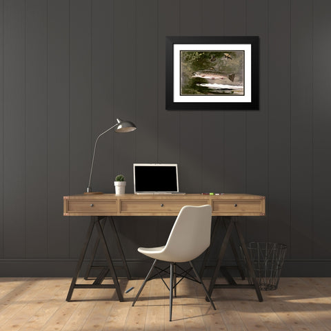 Trout Black Modern Wood Framed Art Print with Double Matting by Homer, Winslow