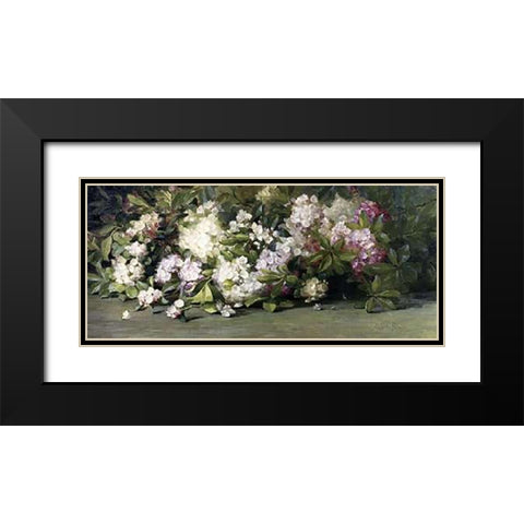 Mountain Laurel Black Modern Wood Framed Art Print with Double Matting by Palmer, Adelaide Coburne