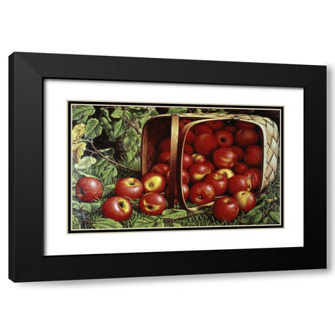 Basket of Apples Black Modern Wood Framed Art Print with Double Matting by Prentice, Levi Wells