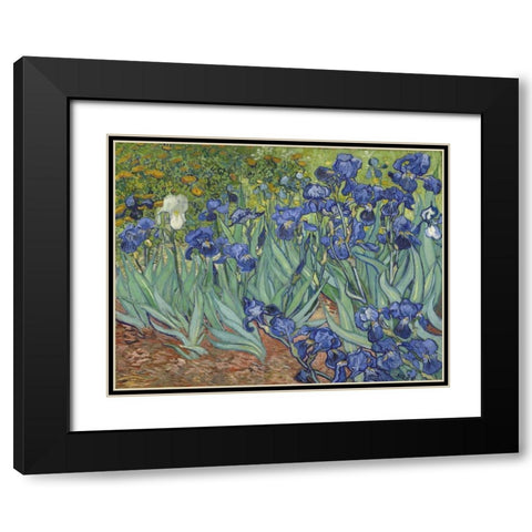 Irises, 1889 Black Modern Wood Framed Art Print with Double Matting by Van Gogh, Vincent
