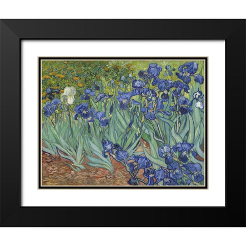 Irises, 1889 Black Modern Wood Framed Art Print with Double Matting by Van Gogh, Vincent