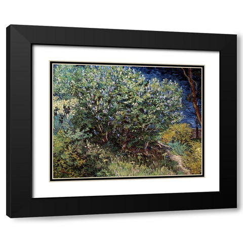 Lilacs Black Modern Wood Framed Art Print with Double Matting by Van Gogh, Vincent