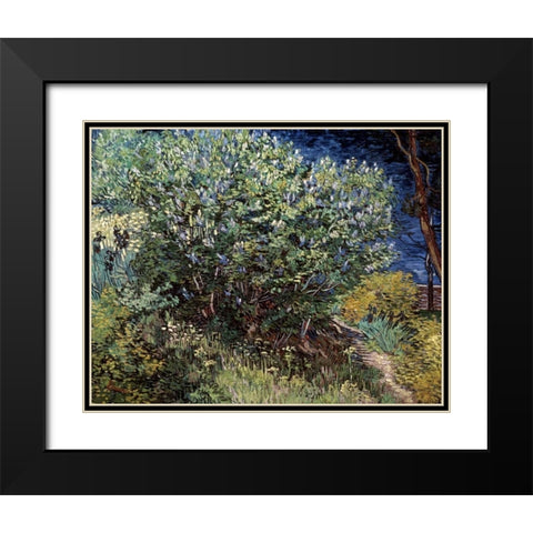 Lilacs Black Modern Wood Framed Art Print with Double Matting by Van Gogh, Vincent