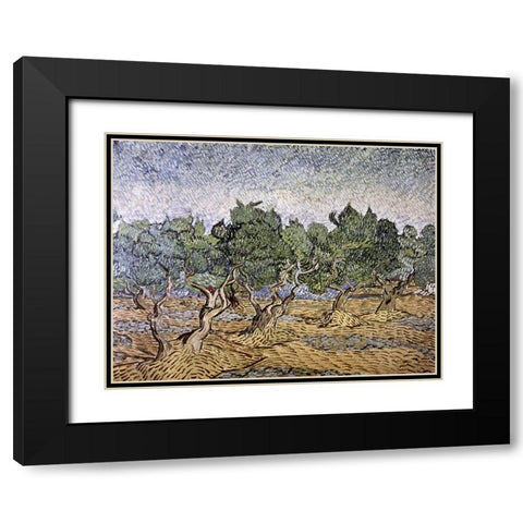 Olive Orchard, Violet Soil Black Modern Wood Framed Art Print with Double Matting by Van Gogh, Vincent
