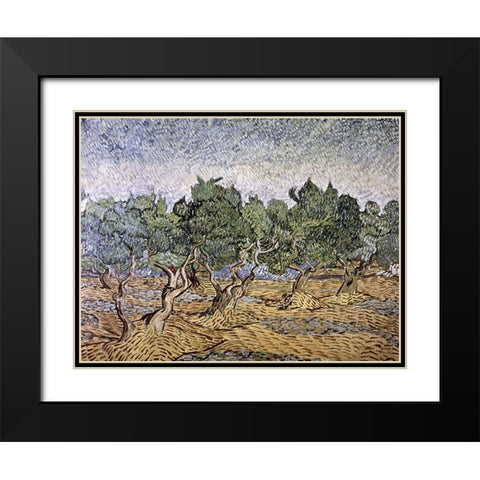 Olive Orchard, Violet Soil Black Modern Wood Framed Art Print with Double Matting by Van Gogh, Vincent