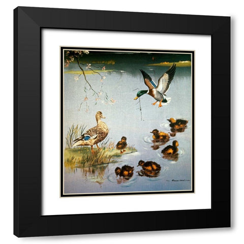Mallards Black Modern Wood Framed Art Print with Double Matting by Ward, Edward Matthew