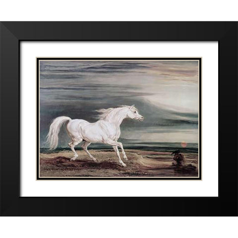 Marengo Barb Charger Black Modern Wood Framed Art Print with Double Matting by Ward, James