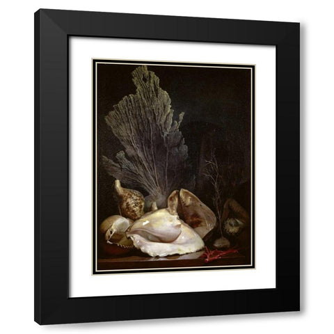 Coquillages et Madreposes Black Modern Wood Framed Art Print with Double Matting by Berjon, Antoine