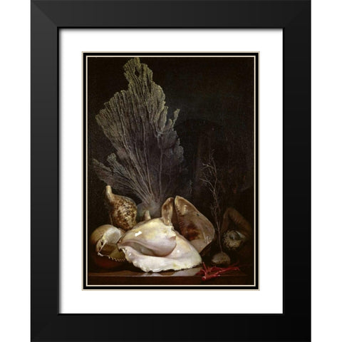 Coquillages et Madreposes Black Modern Wood Framed Art Print with Double Matting by Berjon, Antoine