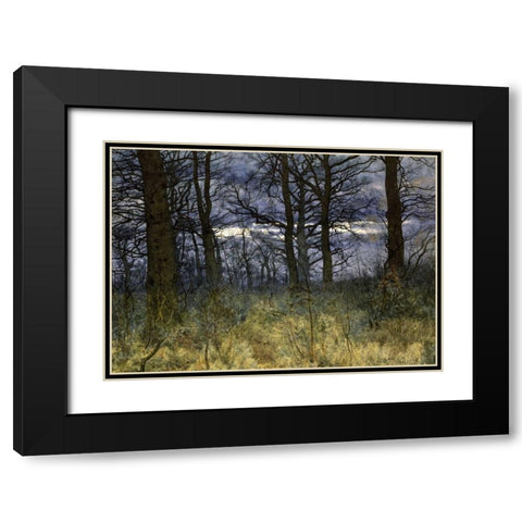 The Woods at Dusk Black Modern Wood Framed Art Print with Double Matting by Garden, William Fraser
