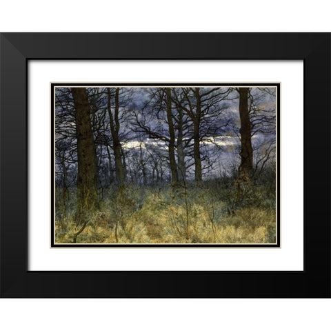 The Woods at Dusk Black Modern Wood Framed Art Print with Double Matting by Garden, William Fraser