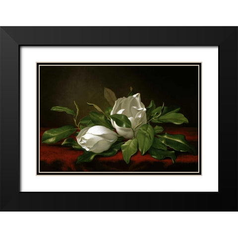 Magnolia Black Modern Wood Framed Art Print with Double Matting by Heade, Martin Johnson