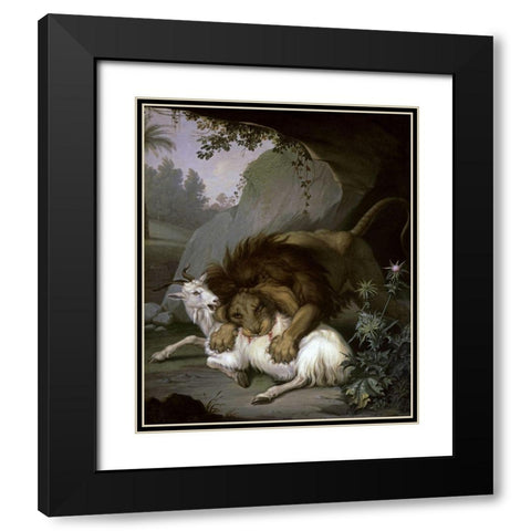A Lion Attacking a Goat Black Modern Wood Framed Art Print with Double Matting by Peter, Wenzel