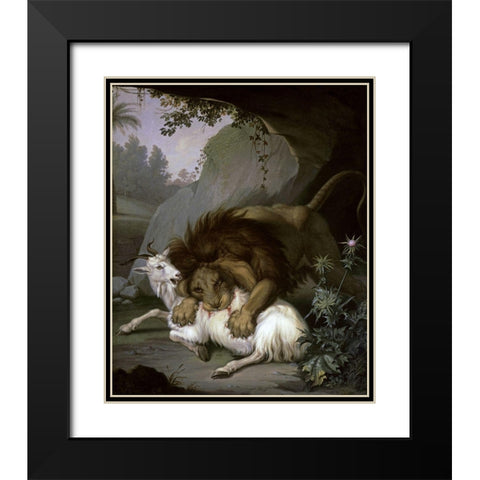 A Lion Attacking a Goat Black Modern Wood Framed Art Print with Double Matting by Peter, Wenzel