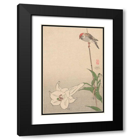Small bird on lily plant., 1893 Black Modern Wood Framed Art Print with Double Matting by Baison