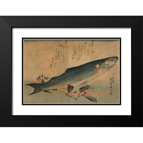 Striped mullet, 1834 Black Modern Wood Framed Art Print with Double Matting by Hiroshige, Ando