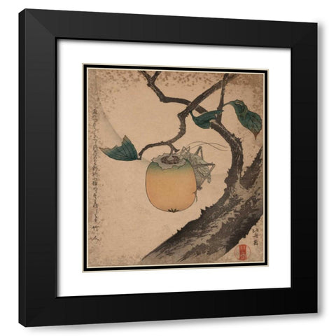 Grasshopper eating persimmon, 1850 Black Modern Wood Framed Art Print with Double Matting by Hokusai
