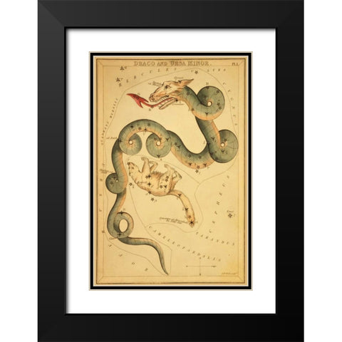 Draco and Ursa Minor, 1825 Black Modern Wood Framed Art Print with Double Matting by Aspin, Jehoshaphat