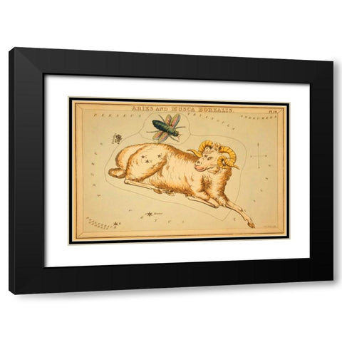 Aries and Musca Borealis, 1825 Black Modern Wood Framed Art Print with Double Matting by Aspin, Jehoshaphat