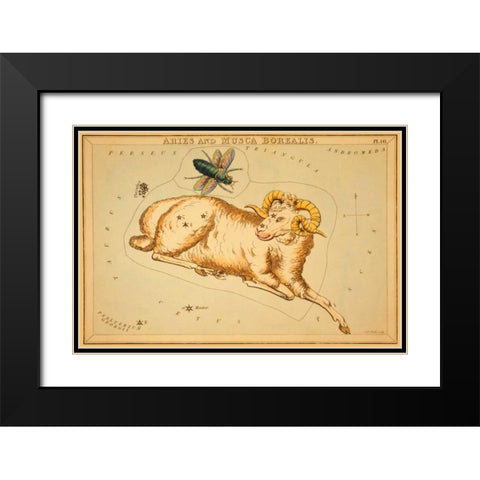 Aries and Musca Borealis, 1825 Black Modern Wood Framed Art Print with Double Matting by Aspin, Jehoshaphat