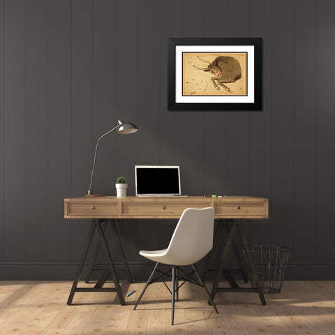 Taurus the Bull, 1825 Black Modern Wood Framed Art Print with Double Matting by Aspin, Jehoshaphat