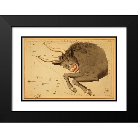 Taurus the Bull, 1825 Black Modern Wood Framed Art Print with Double Matting by Aspin, Jehoshaphat
