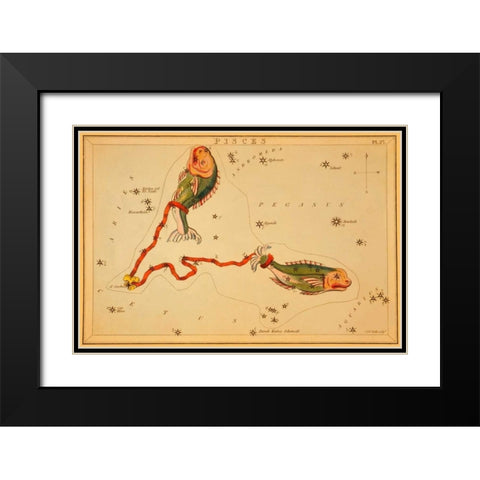 Pisces, 1825 Black Modern Wood Framed Art Print with Double Matting by Aspin, Jehoshaphat