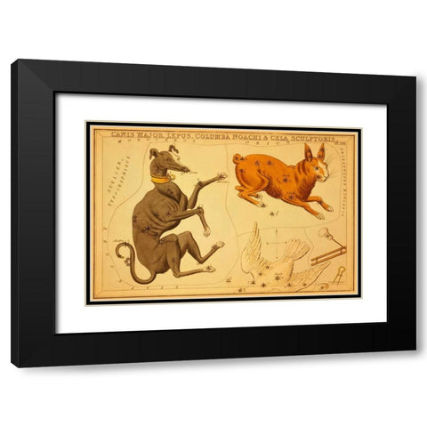 Canis Major, Lepus, Columba Noachi and Cela Sculptoris, 1825 Black Modern Wood Framed Art Print with Double Matting by Aspin, Jehoshaphat