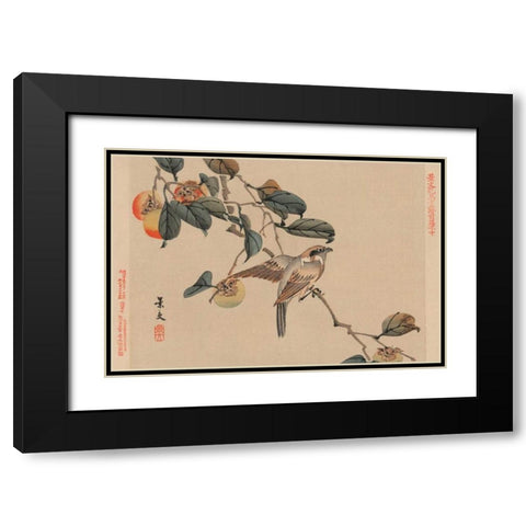 Bird perched on a branch from a fruit persimmon tree., 1892 Black Modern Wood Framed Art Print with Double Matting by Matsumura, Keibun