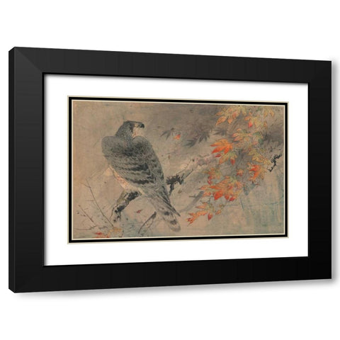 Eagle on a maple branch Black Modern Wood Framed Art Print with Double Matting by Unknown