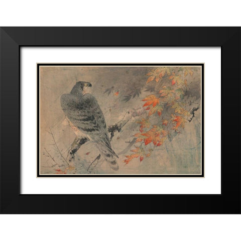Eagle on a maple branch Black Modern Wood Framed Art Print with Double Matting by Unknown