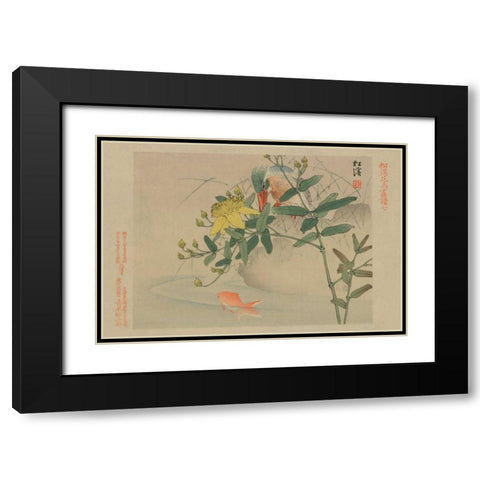 Kingfisher and Goldfish in Pond Black Modern Wood Framed Art Print with Double Matting by Unknown
