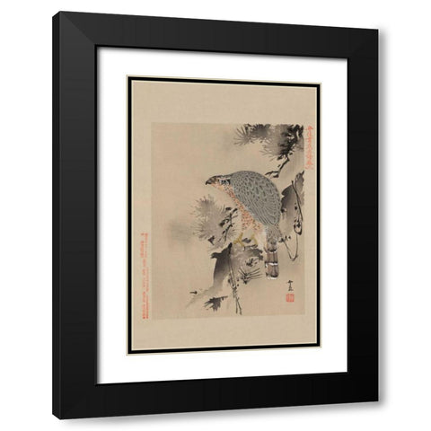Hawk Black Modern Wood Framed Art Print with Double Matting by Unknown