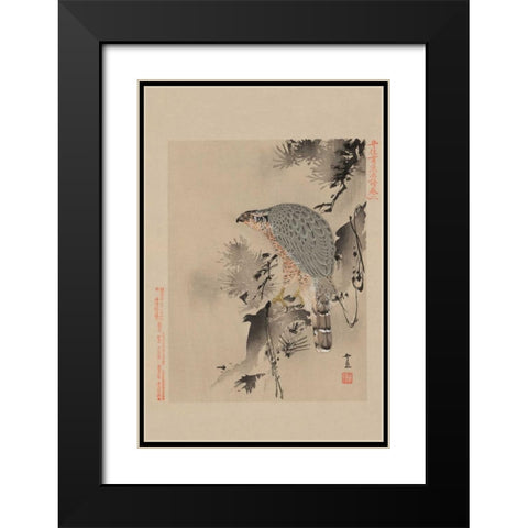 Hawk Black Modern Wood Framed Art Print with Double Matting by Unknown