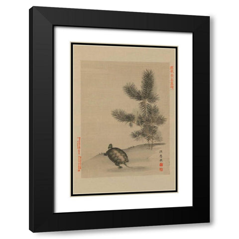 Turtle Black Modern Wood Framed Art Print with Double Matting by Unknown