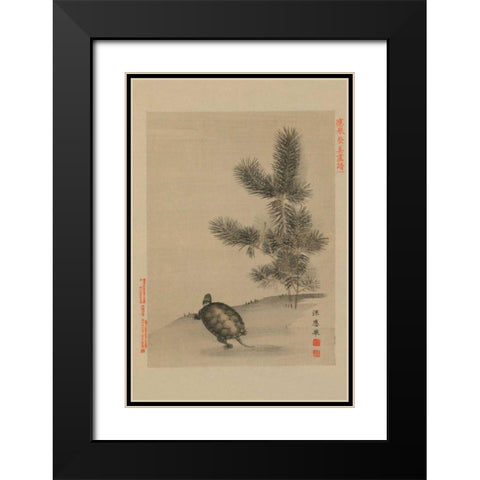 Turtle Black Modern Wood Framed Art Print with Double Matting by Unknown
