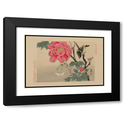 Bird watching a Butterfly Black Modern Wood Framed Art Print with Double Matting by Unknown