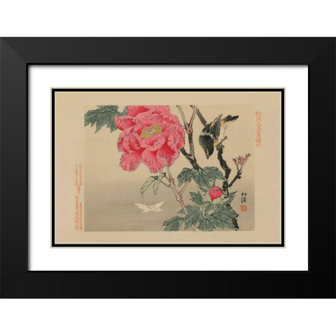 Bird watching a Butterfly Black Modern Wood Framed Art Print with Double Matting by Unknown