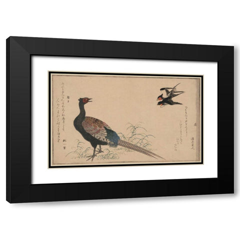 Pheasant Black Modern Wood Framed Art Print with Double Matting by Unknown