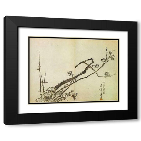 A Branch Of Plum 1798 Black Modern Wood Framed Art Print with Double Matting by Hokusai